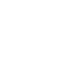 Big Sky Wildlife